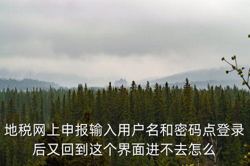 地稅網上申報輸入用戶名和密碼點登錄后又回到這個界面進不去怎么