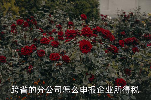 跨省的分公司怎么申報企業所得稅