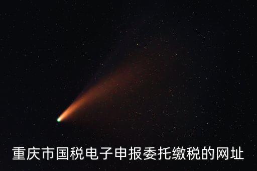 重慶市國稅電子申報委托繳稅的網址