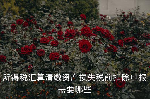 所得稅匯算清繳資產損失稅前扣除申報需要哪些