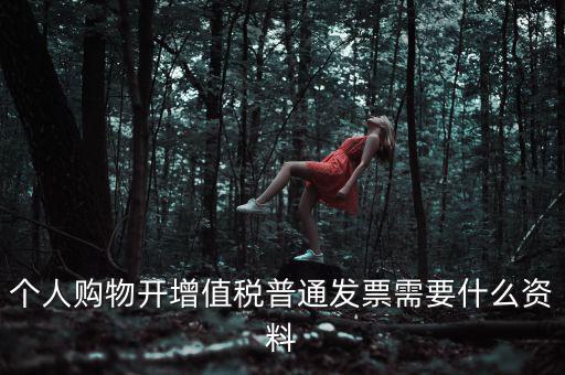 個人購物開增值稅普通發票需要什么資料