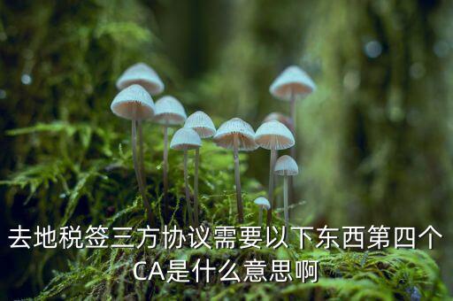 去地稅簽三方協議需要以下東西第四個CA是什么意思啊