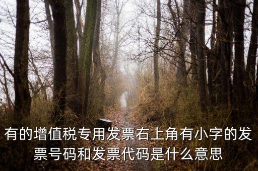 有的增值稅專用發票右上角有小字的發票號碼和發票代碼是什么意思