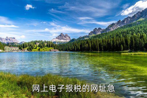 網上電子報稅的網址急