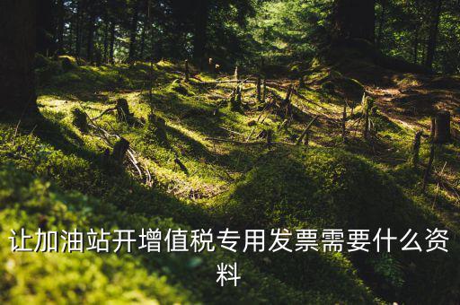 升級成品油開票模塊需要什么資料，成品油升級前開的發票對方退回但是紅字和藍字發票都是從成品