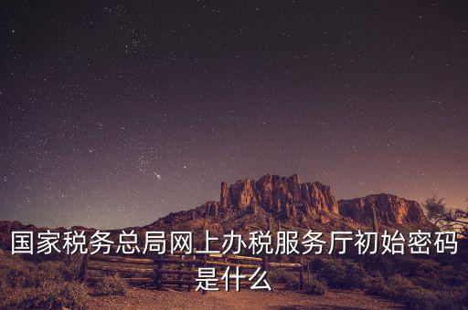 國家稅務總局網上辦稅服務廳初始密碼是什么
