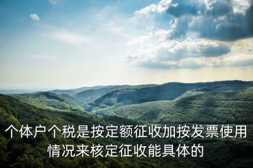 個體戶個稅是按定額征收加按發票使用情況來核定征收能具體的