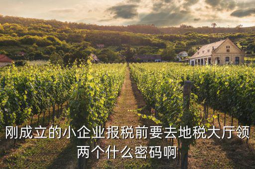 剛成立的小企業報稅前要去地稅大廳領兩個什么密碼啊