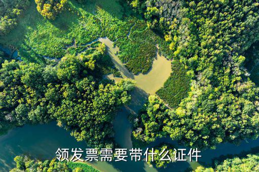 領發票需要帶什么證件