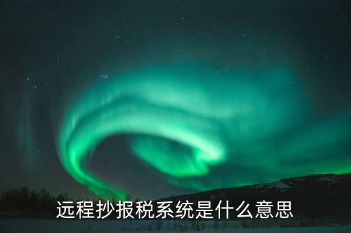 遠程抄報稅系統是什么意思