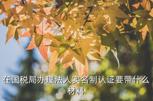 實名制辦稅員辦理需要什么資料，辦稅員證要帶什么資料