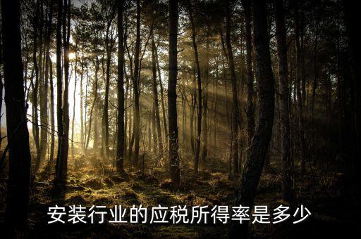 安裝行業的應稅所得率是多少