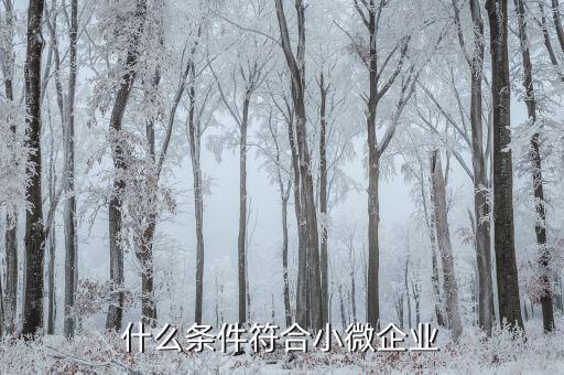什么條件符合小微企業