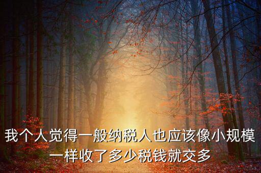 我個人覺得一般納稅人也應該像小規模一樣收了多少稅錢就交多