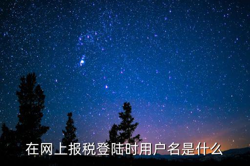 在網(wǎng)上報(bào)稅登陸時用戶名是什么