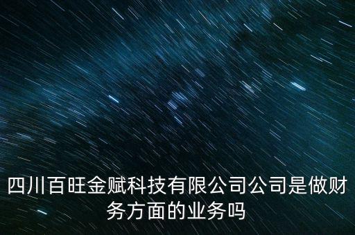 四川百旺金賦科技有限公司公司是做財務方面的業務嗎