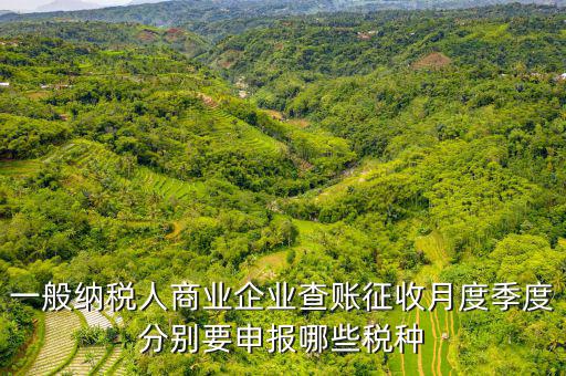 一般納稅人商業企業查賬征收月度季度分別要申報哪些稅種