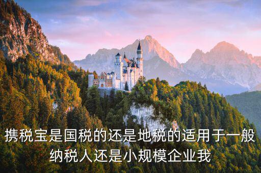 攜稅寶是國稅的還是地稅的適用于一般納稅人還是小規模企業我