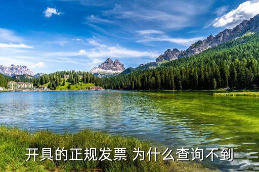 開具的正規發票 為什么查詢不到