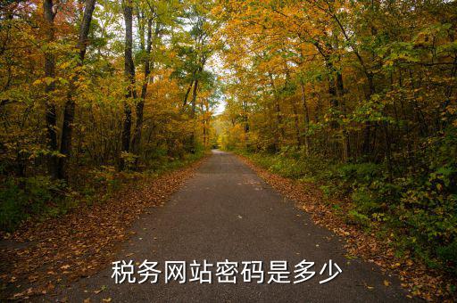 國稅登陸用戶名密碼是什么，電子稅務局密碼怎么查