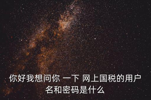 你好我想問你 一下 網上國稅的用戶名和密碼是什么