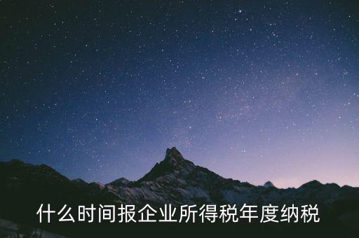 什么時間報企業所得稅年度納稅