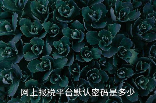 山東國稅登錄密碼是什么，國家稅務總局網上辦稅服務廳初始密碼是什么