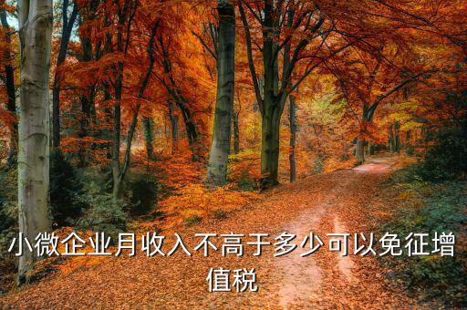 小微企業月收入不高于多少可以免征增值稅