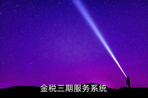 金稅三期服務系統