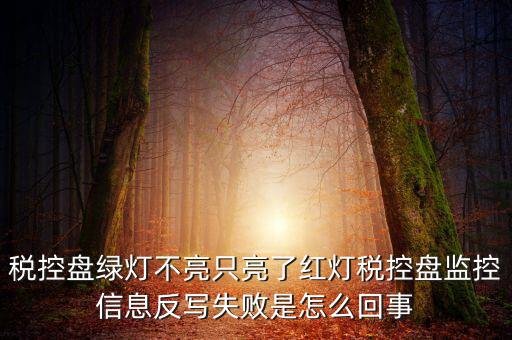 稅控盤綠燈不亮只亮了紅燈稅控盤監控信息反寫失敗是怎么回事