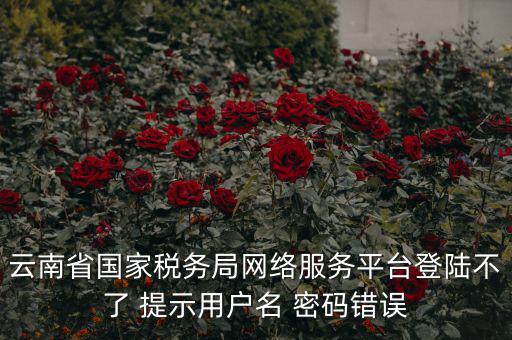 云南稅控服務(wù)平臺的網(wǎng)址是什么，云南國稅開票系統(tǒng)網(wǎng)址