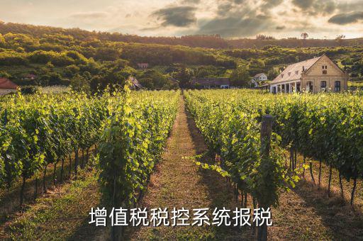 增值稅稅控系統報稅