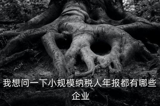我想問一下小規模納稅人年報都有哪些 企業