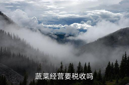 蔬菜經營要稅收嗎