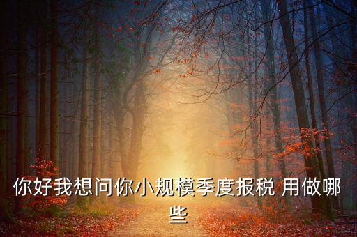 你好我想問你小規模季度報稅 用做哪些
