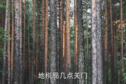 合肥市地稅局什么時候下班，地稅局幾點關門