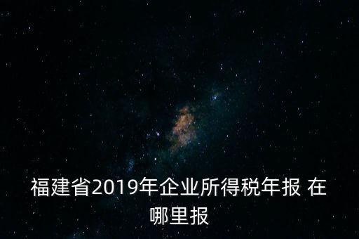 福建省2019年企業所得稅年報 在哪里報