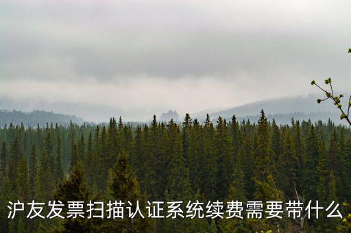 滬友發票掃描認證系統續費需要帶什么