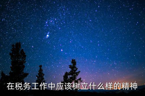 在稅務工作中應該樹立什么樣的精神