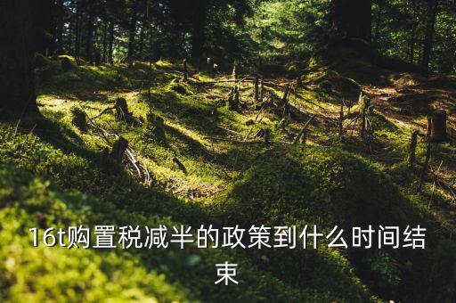 16t購置稅減半的政策到什么時間結束