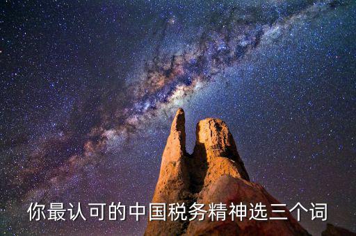 你最認可的中國稅務精神選三個詞