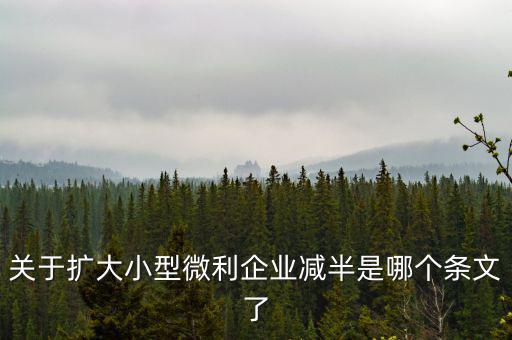 關于擴大小型微利企業減半是哪個條文了