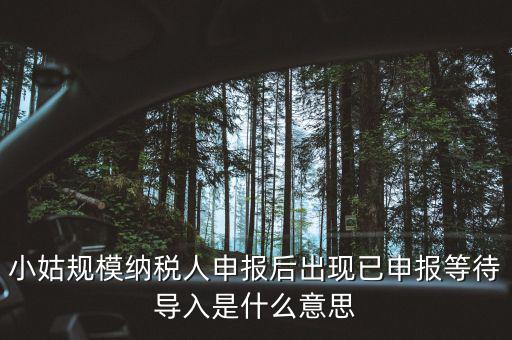 小姑規模納稅人申報后出現已申報等待導入是什么意思