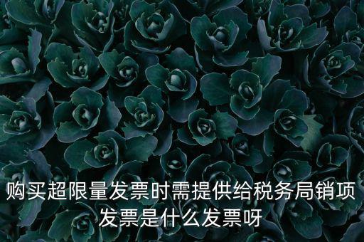 購買超限量發票時需提供給稅務局銷項發票是什么發票呀