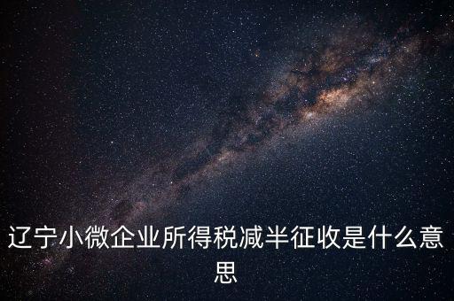 遼寧小微企業所得稅減半征收是什么意思