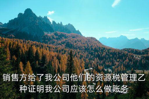 什么叫資源稅甲乙種證明，銷售方給了我公司他們的資源稅管理乙種證明我公司應該怎么做賬務