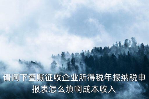 請問下查賬征收企業所得稅年報納稅申報表怎么填啊成本收入