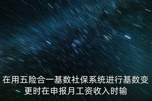 在用五險合一基數社保系統進行基數變更時在申報月工資收入時輸