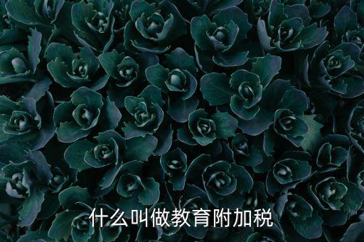 教育附加什么意思，教育費附加代表什么意思