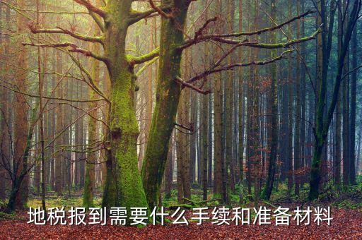 地稅報到需要什么手續和準備材料